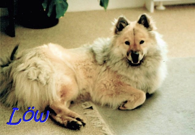 1.1.1990 - Silvester 1.1.1990 - Silvester
