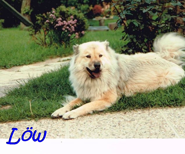 19.5.1990 - Pause 19.5.1990 - Pause