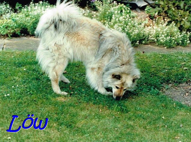 26.7.1990 - Da riecht was 26.7.1990 - Da riecht was
