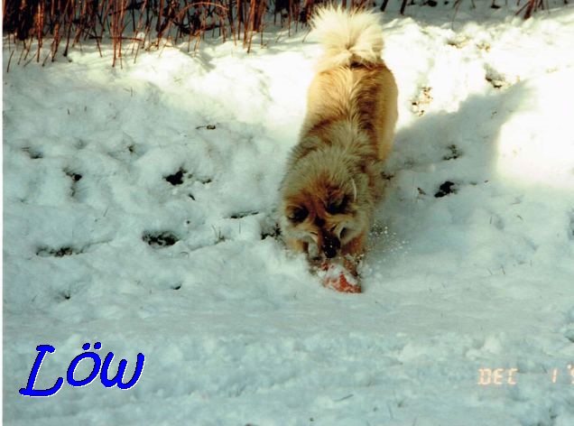 1.12.1990 - Schneespiele 1.12.1990 - Schneespiele