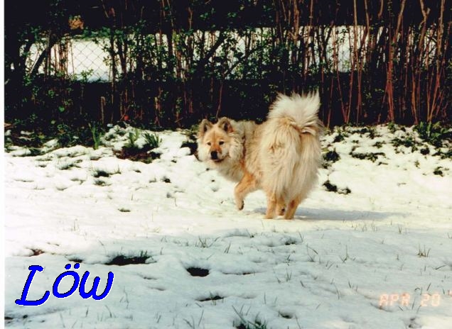 20.4.1991 - Schneereste im Frühling 20.4.1991 - Schneereste im Frühling