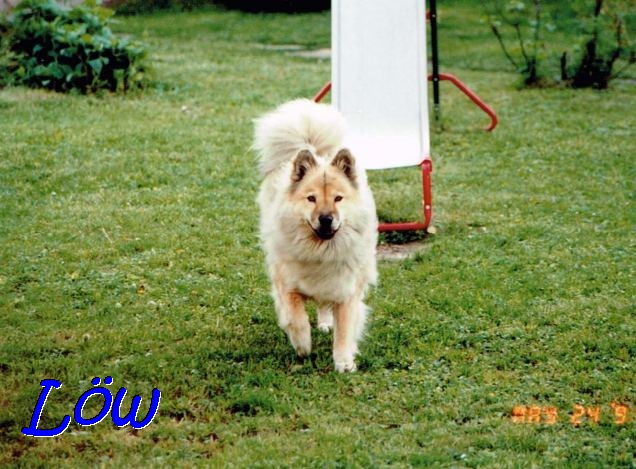 24.5.1991 - Mit Schwung von der Rutsche 24.5.1991 - Mit Schwung von der Rutsche
