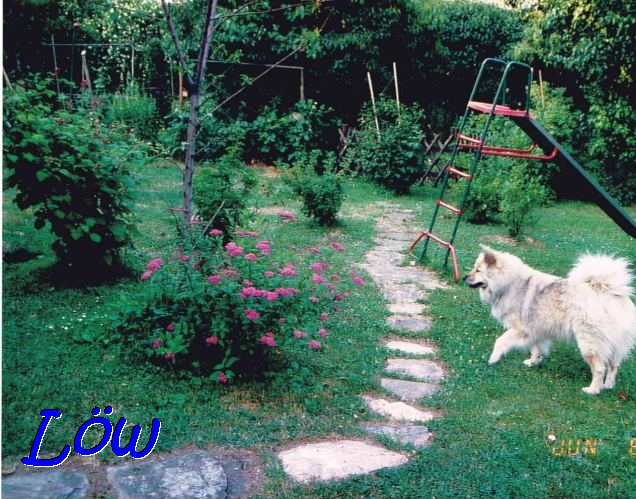 8.6.1993 - Gartenvisite 8.6.1993 - Gartenvisite
