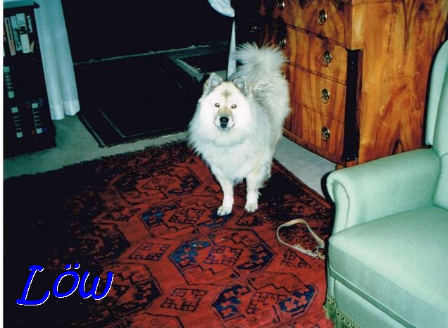 Dezember 1993 - Besuch in Mauer Dezember 1993 - Besuch in Mauer