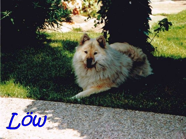 Juli 1994 - Ab in den Schatten Juli 1994 - Ab in den Schatten