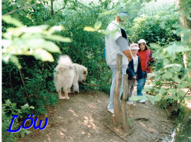 Mai 1995 - Waldexpedition Mai 1995 - Waldexpedition