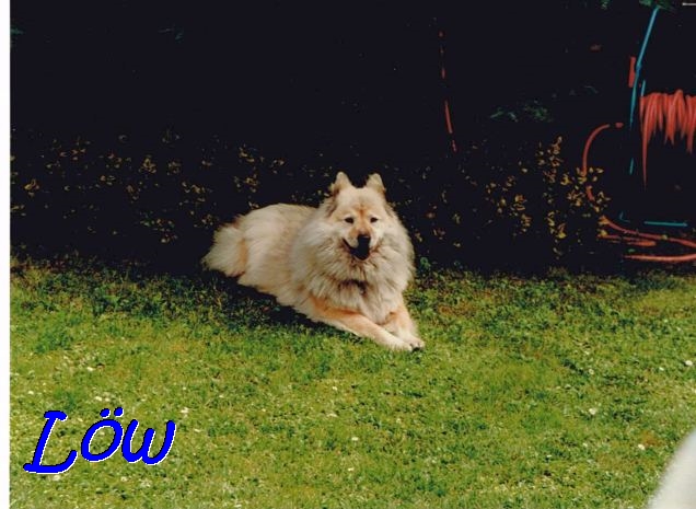 Juni 1997 - Gartenrast Juni 1997 - Gartenrast