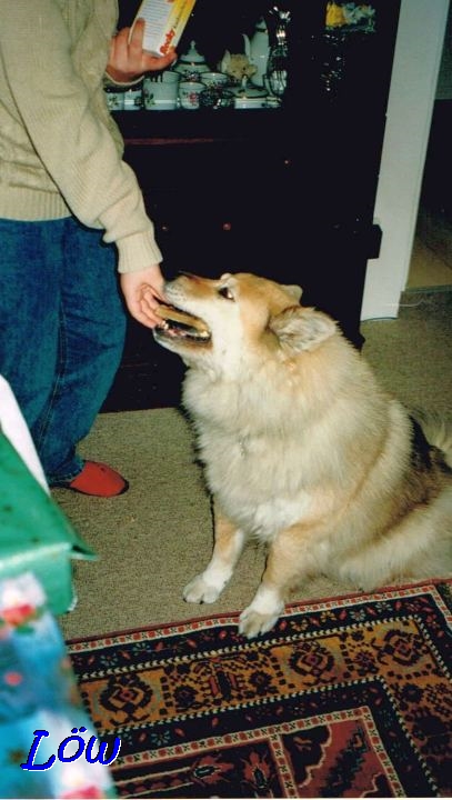 27.12.1998 - Weihnachtsessen 27.12.1998 - Weihnachtsessen
