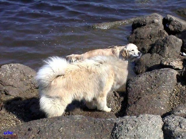 Ottenstein 2002: Erforschung des Stausee Ottenstein