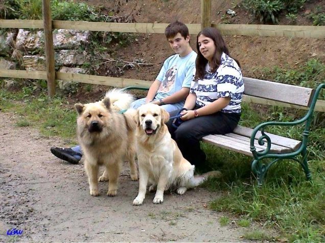 Sommer 2002: Besuch der Meiereiwiese in Mödling