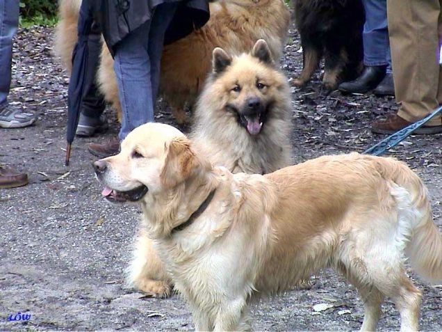 17.10.2004: Besuch des Tiergarten Herberstein