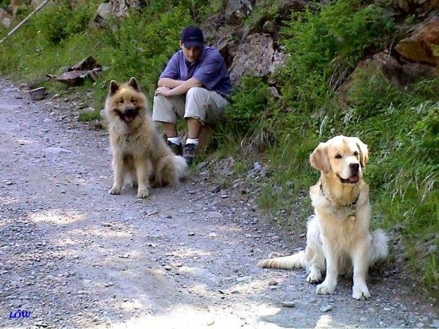 Osttirol Juli 2004: Immer müssen wir auf alle warten