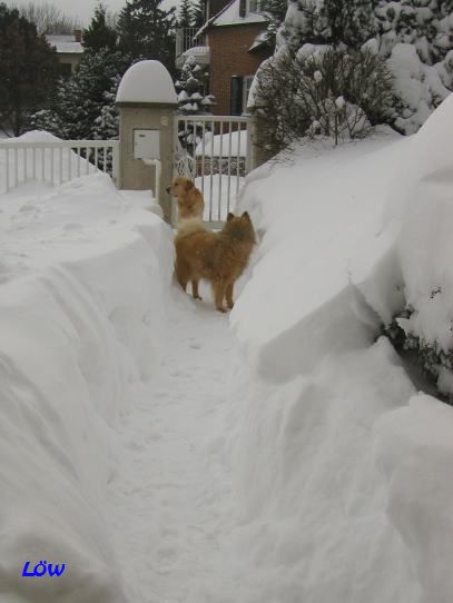 Februar 2005: Schneepfade
