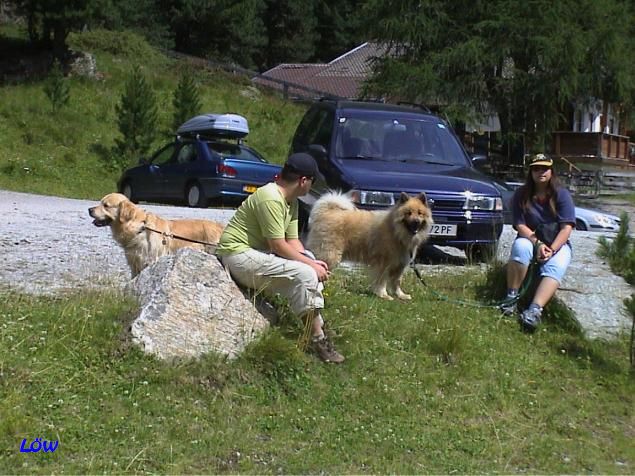 26.7.2005 - Erlsbachtal - Wieder Vorheriges Bild