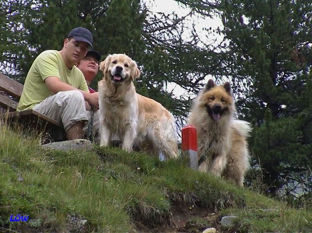 26.7.2005 - Erlsbachtal - Im Zirbenwald