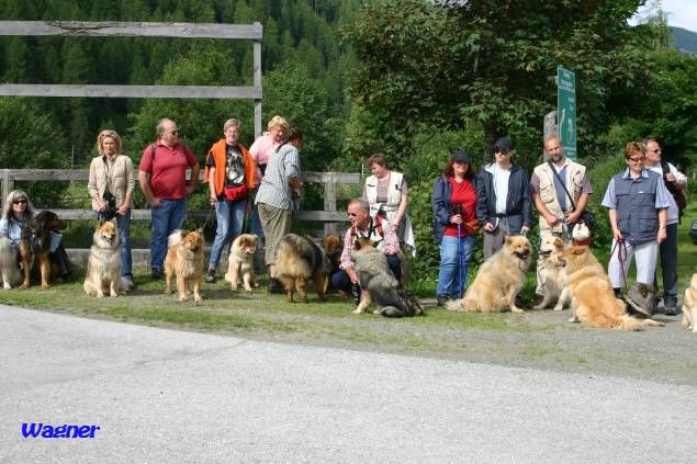 24.7.2005 - Gruppenbild Eurasier Hundstage in Osttirol