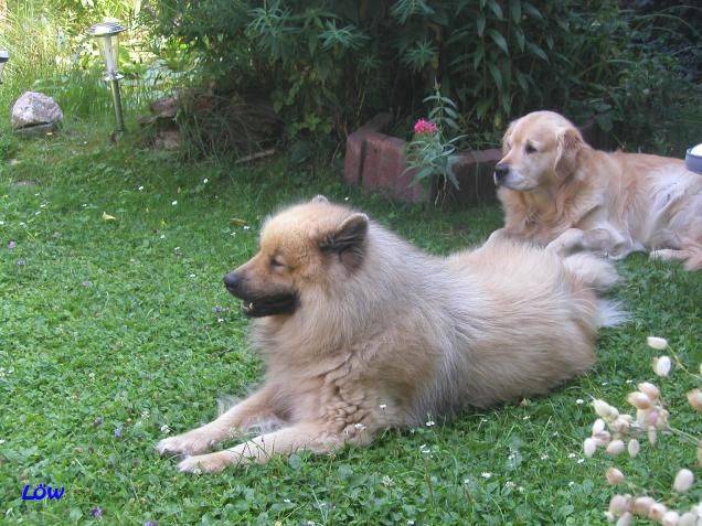 Juli 2006 - Urlaub im Garten