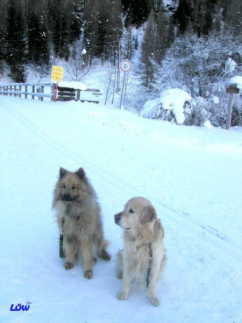 Februar 2006: Osttirol