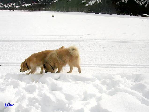 Februar 2006: Osttirol - Spurensuche