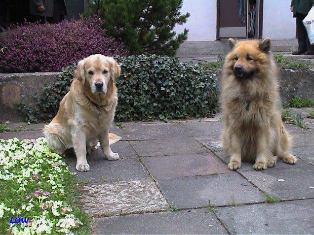 April 2006 - Ostern in Bruck