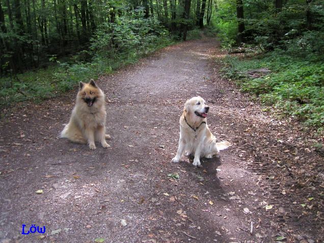 August 2007: Wir warten, schon wieder