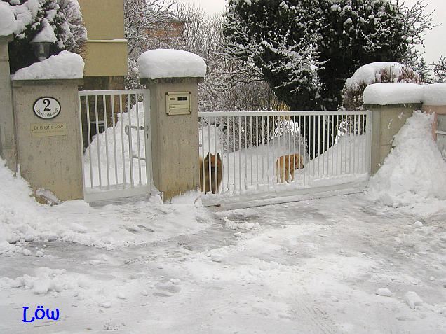 Februar 2009: Türwächter