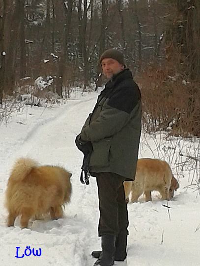 Februar 2012: Stöbern im Winterwald