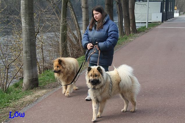 27.3.2016 - Bruck / Mur-Promenade