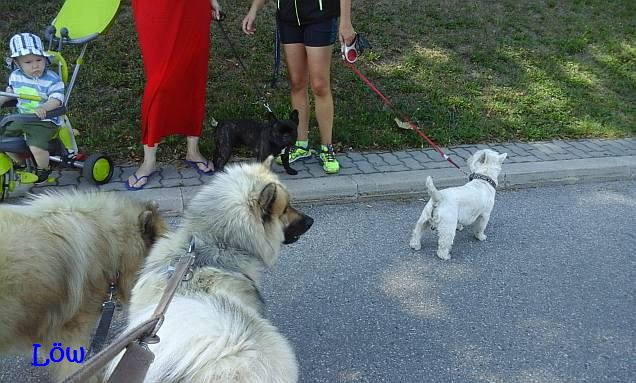 7.8.2016 - Treffen mit Max und Moriz