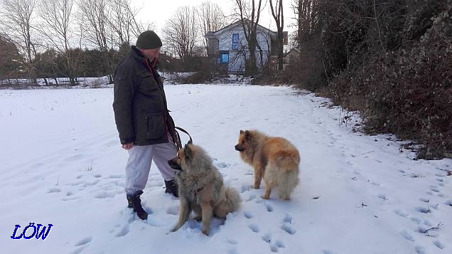 5.2.2017 - Noch gibt's Schnee