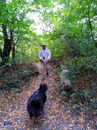 15.10.2018 - Unterwegs im Herbstwald