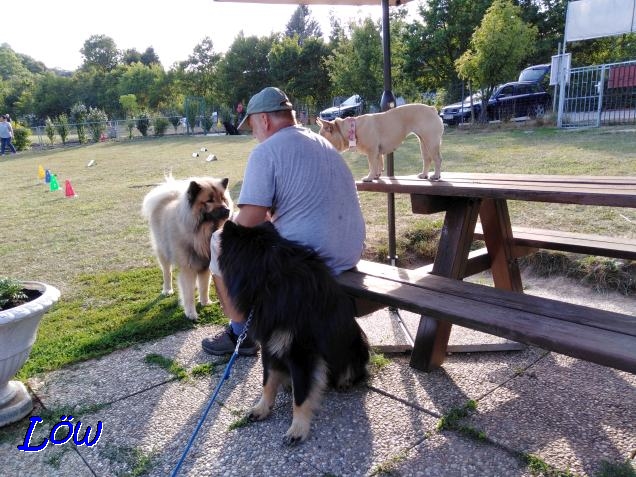 17.7.2019 - Taktische Besprechung mit Dwix, Howard und Gina