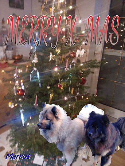 24.12.2020 - Dwix und Howard wünschen Merry Chrismas