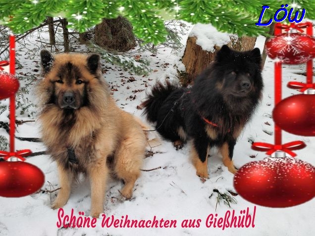 24.12.2022 - Weihnachten