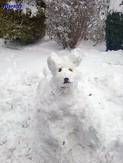 21.1.2023 - Gestatten, Dougan der Schneehund