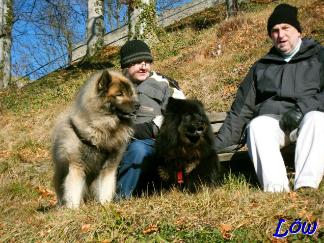 30.12.2024 - Rast in der Wintersonne