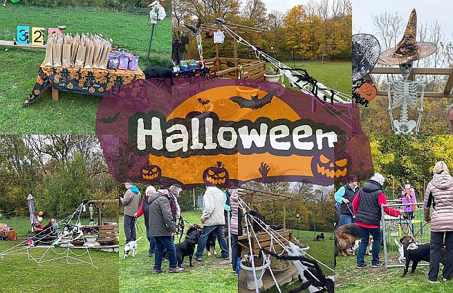 26.10.2024 - Halloween Tunier beim ÖGV
