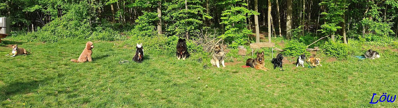 18.4.2024 Sozial Walk zur Kugelwiese