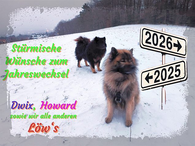 31.12.2025 -  Jahresw&uuml;nsche