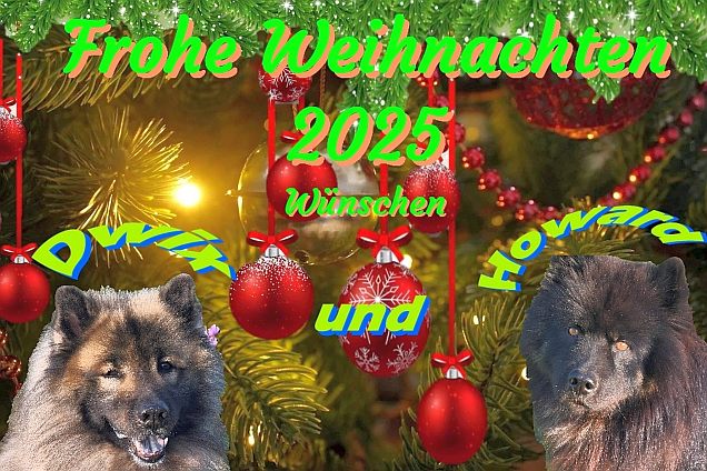 24.12.2025 - Lichterbaum
