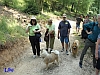 7.6.2015 - Unterwegs im Wildpark Ernstbrunn