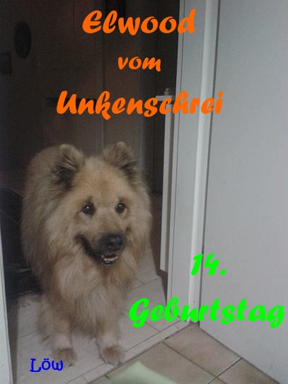 Woody ist 14, 27.10.2015