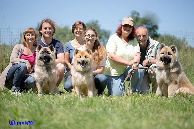 26.7.2015 - D-Wurf beim Tamalinatreffen