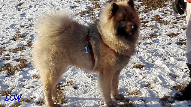 22.1.2017 - Dwix in Pose