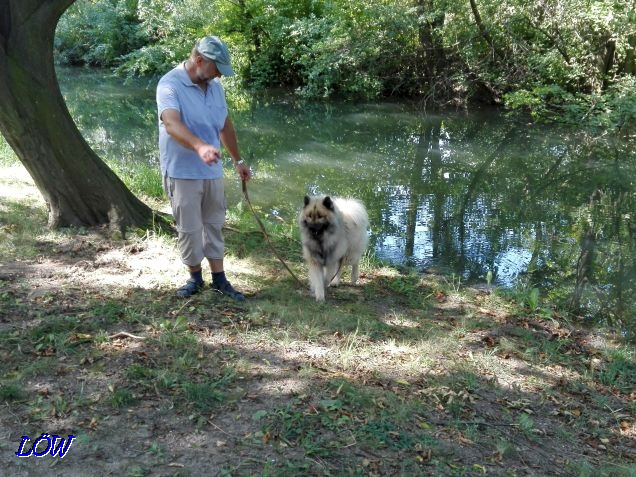 25.8.2017 - Park in Laxenburg