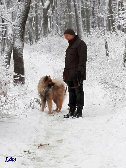 14.1.2018 - Wiedermal Schnee, für einige Tage