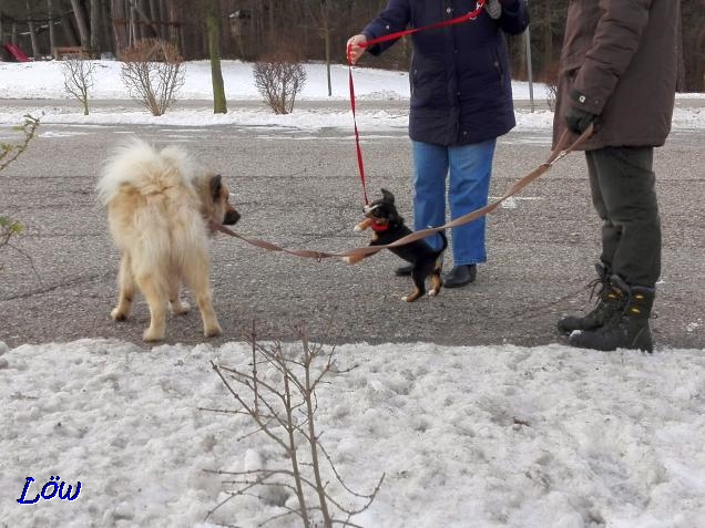 17.1.2018 - Treffen mit "Tina"