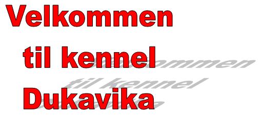 Kennel Dukavika Logo