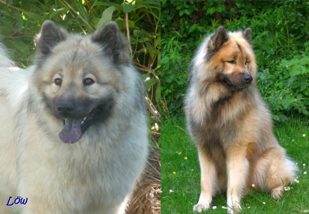 11.9.2019 - Aida und Dwix 11.9.2019 - Aida und Dwix