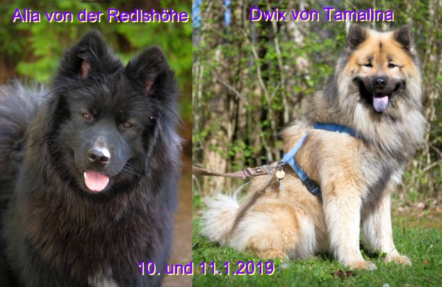 2019 - Alia und Dwix